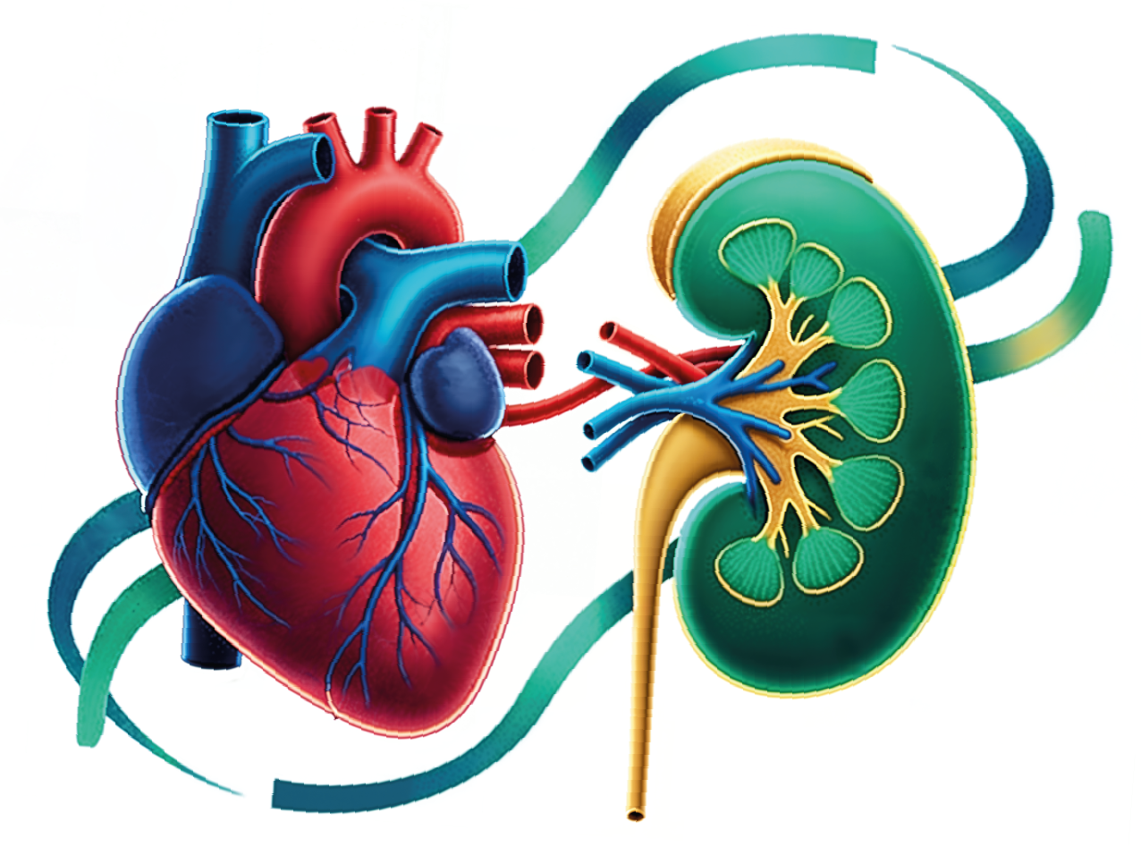 CRM DIALOG 2.0 – Cuore, Rene e Metabolismo